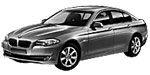 BMW F10 P2065 Fault Code